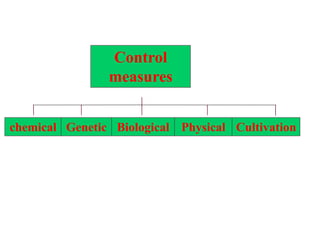 Control
measures
CultivationPhysicalBiologicalchemical Genetic
 