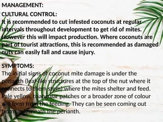 Integrated pest management in coconut using in pest management | PPT