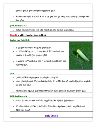 ij çdksi gksus ij vf/kd uqdlku igqpkars gSA
• ikS/kksa esa çdk'k la'ys"k.k dh nj de gks tkrh gS vkSj vf/kd çdksi ij Qly lw[k Hkh
tkrs gSA
jklk;fud fu;a=.k
• jlk;fud [kkn dk mi;ksx vkfFkZd nsgyh Lrj dks ikj djus ij gh djsaA
Qqndk ø vfQfyvksuk eSdqykslk À
igpku ,oa fujh{k.k
• ;s gjs jax ds NksVs Hkquxs gksrs gSA
• bl dhV ds f'k'kq ,oa o;Ld nksuksa ikS/kksa ds dksey
vaxksa ls jl pwldj {kfr igqpkrs gSA
• ;s vxLr ls vDVwcj [kjhQ esa rFkk Qjojh ls vçSy jch esa
ik;s tkrs gSA
{kfr
• çHkkfor ifRr;ka igys gYds jax dh gks tkrh gSA
• vf/kd çdksi gksus ij ifRr;ka dVksjs vkdkj dh eqM+ tkrs gS ,oa fdukjs gYds xqykch
jax gks tkrs gSA
• ikS/kksa dks fgykus ij ;s frjNs mMrs gSA buds çdksi ls dkQh {kfr gksrh gSA
jklk;fud fu;a=.k
• jlk;fud [kkn dk mi;ksx vkfFkZd nsgyh Lrj dks ikj djus ij gh djsaA
• 35 bZlh- bUMkslYQku ;k 0-05 25 bZ-lh- DohukyQkWl ;k 0-01 esyfFkvku dk
fNM+dko djsaA
ruk Nsnd
 