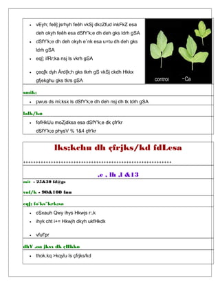 • vEyh; feê] jsrhyh feêh vkSj dkcZfud inkFkZ esa
deh okyh feêh esa dSfY'k;e dh deh gks ldrh gSA
• dSfY'k;e dh deh okyh e`nk esa u=tu dh deh gks
ldrh gSA
• eq[; ifRr;ka nsj ls vkrh gSA
• çeq[k dyh Ård{k;h gks tkrh gS vkSj ckdh Hkkx
gfjekghu gks tkrs gSA
smik;
• pwus ds mi;ksx ls dSfY'k;e dh deh nsj dh tk ldrh gSA
lalk/ku
• fofHkUu moZjdksa esa dSfY'k;e dk çfr'kr
dSfY'k;e physV % 1&4 çfr'kr
lks;kchu dh çfrjks/kd fdLesa
+++++++++++++++++++++++++++++++++++++++++++++++++++++++++++
,e , lh ,l &13
mit - 25&30 fd@gs
vof/k - 90&100 fnu
eq[; fo'ks"krk;sa
• cSxauh Qwy ihys Hkwjs r:.k
• ihyk cht i+= Hkwjh dkyh ukfHkdk
• vfuf'pr
dhV ,oa jksx dk çHkko
• thok.kq >kqylu ls çfrjks/kd
 