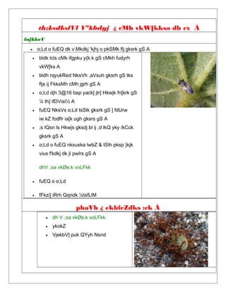 th;ksdksfVl Vªkbdyj ¿ cMh vkW[kksa dh cx À
fn[kkoV
• o;Ld o fuEQ dk v.Mkdkj 'kjhj o pkSMk flj gksrk gS A
• bldk lcls cMk ifgpku y{k.k gS cMkh fudyrh
vkW[ks A
• bldh rqyukRed NksVh ,aVsuh gksrh gS tks
fljs ij FkksMh cMh jgrh gS A
• o;Ld djh 3@16 bap yack] jtr] Hkwjk fn[krk gS
¼ th] ifDVisl½ A
• fuEQ NksVs o;Ld tsSlk gksrk gS ] fdUrw
iw.kZ fodflr ia[k ugh gksrs gS A
• ;s lQsn ls Hkwjs gksdj bl ij ,d lkQ yky /kCck
gksrk gS A
• o;Ld o fuEQ nksuska lwbZ & tSlh pksp }kjk
vius f'kdkj dk jl pwlrs gS A
dhV ,oa vkØe.k voLFkk
• fuEQ o o;Ld
• fFkzi] iRrh Qqndk ¼tsfLlM
phaVh ¿ ekbfeZdks :ck À
• dh V ,oa vkØe.k voLFkk
• ykokZ
• VjekbV] puk QYyh Nsnd
 