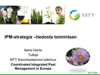 Aana Vainio 
Tutkija 
MTT Kasvintuotannon tutkimus 
Coordinated Integrated Pest Management in Europe 
IPM-strategia –tiedosta toimintaan 
25.11.2014  