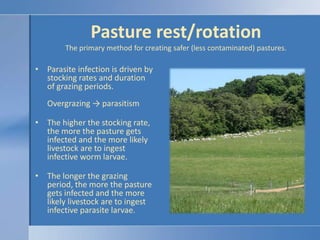 Pasture rest/rotationThe primary method for creating safer (less contaminated) pastures.<br />Parasite infection is driven...