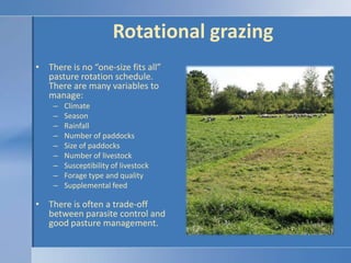 Rotational grazing<br />There is no “one-size fits all” pasture rotation schedule. There are many variables to manage:<br ...