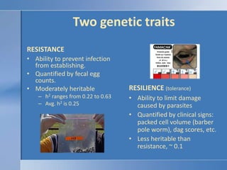 Resistance and resilienceBoth traits are equally important!<br />There is a cost to parasite resistance as resources are d...