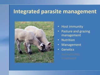 Integrated parasite management,[object Object],Host immunity,[object Object],Pasture and grazing management,[object Object],Nutrition,[object Object],Management,[object Object],Genetics,[object Object],Anthelmintic treatment,[object Object]