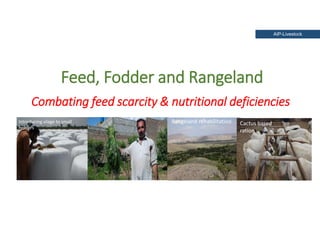 Holistic paradigm for improving livestock productivity in Pakistan 