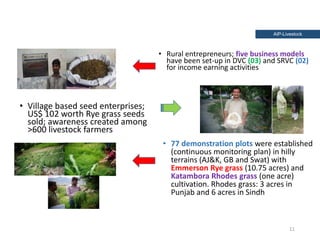 Holistic paradigm for improving livestock productivity in Pakistan 