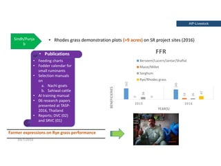 Holistic paradigm for improving livestock productivity in Pakistan 
