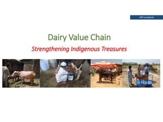 Holistic paradigm for improving livestock productivity in Pakistan 