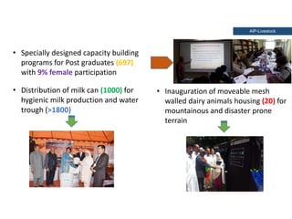 Holistic paradigm for improving livestock productivity in Pakistan 