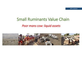 Holistic paradigm for improving livestock productivity in Pakistan 