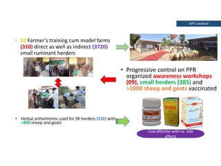 Holistic paradigm for improving livestock productivity in Pakistan 