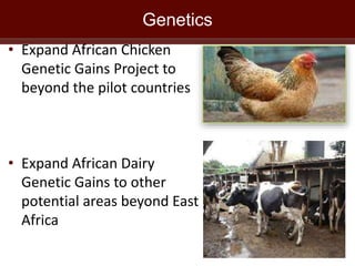 Update on ILRI in East Africa