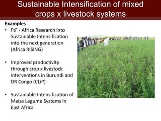 Update on ILRI in East Africa