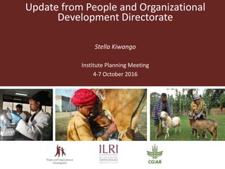 Update from People and Organizational
Development Directorate
Stella Kiwango
Institute Planning Meeting
4-7 October 2016
 