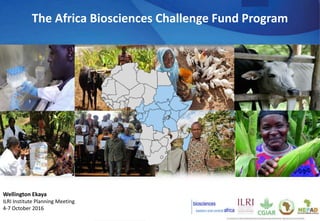 Wellington Ekaya
ILRI Institute Planning Meeting
4-7 October 2016
The Africa Biosciences Challenge Fund Program
 