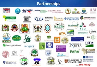 The Africa Biosciences Challenge Fund Program