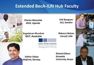 The Africa Biosciences Challenge Fund Program