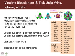 ILRI program outline: Animal and Human Health | PPTX