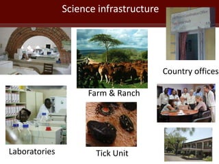 ILRI program outline: Animal and Human Health