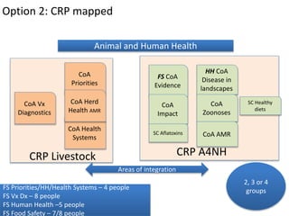 ILRI program outline: Animal and Human Health