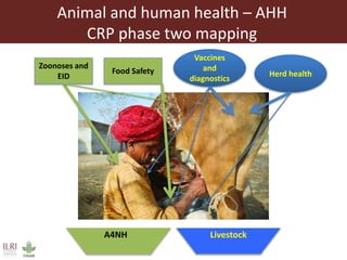 ILRI program outline: Animal and Human Health