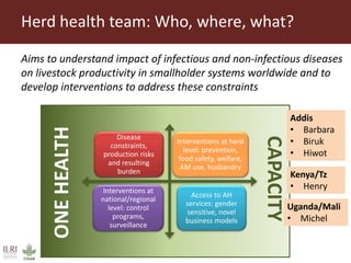 ILRI program outline: Animal and Human Health