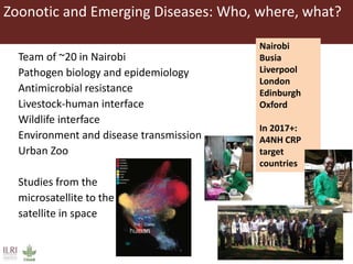 ILRI program outline: Animal and Human Health