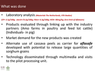 Innovative processing of cassava peels to livestock feeds
