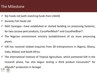 Innovative processing of cassava peels to livestock feeds
