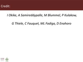 Innovative processing of cassava peels to livestock feeds