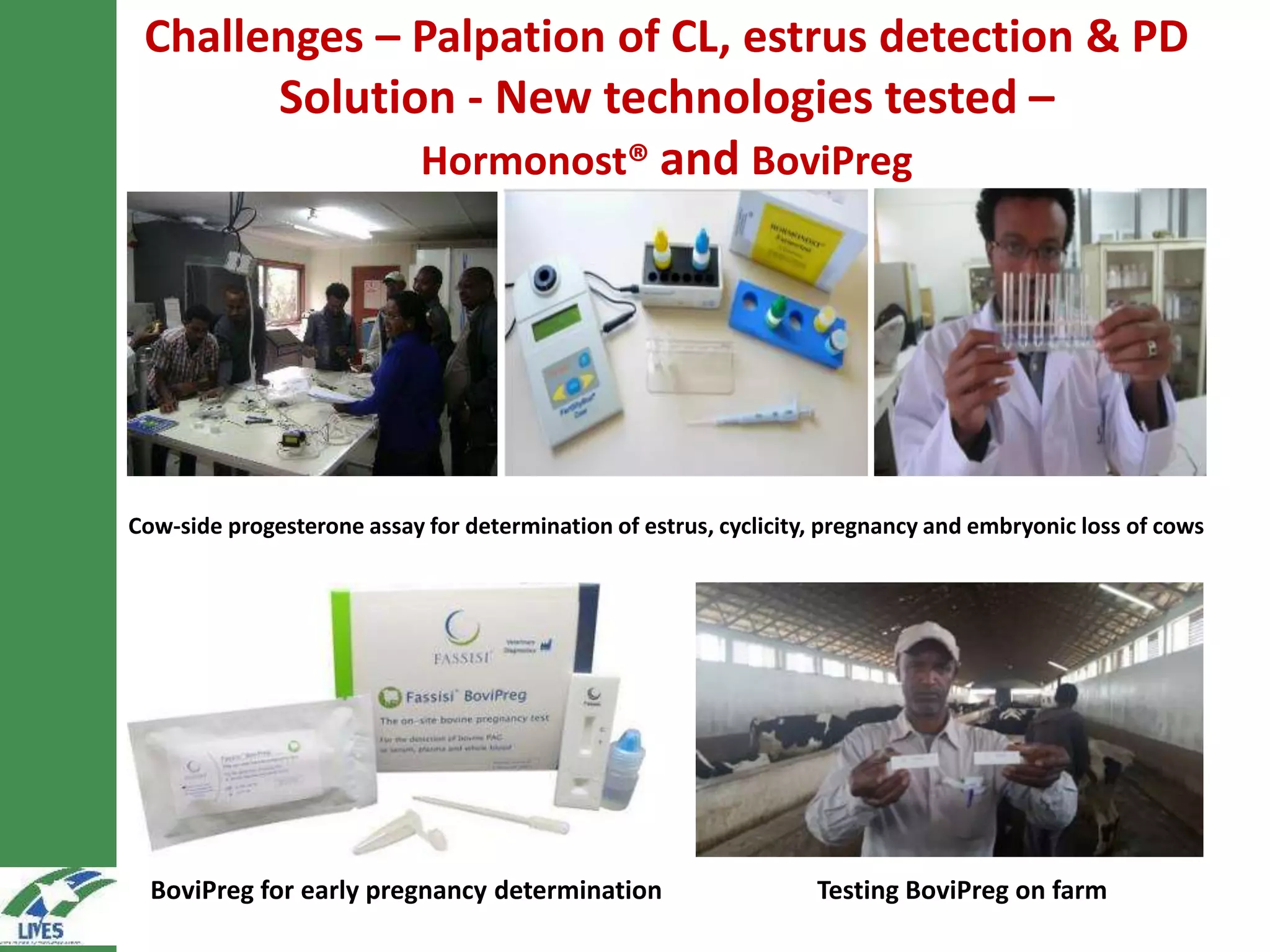 Challenges – Palpation of CL, estrus detection & PD
Solution - New technologies tested –
Hormonost® and BoviPreg
Cow-side progesterone assay for determination of estrus, cyclicity, pregnancy and embryonic loss of cows
Testing BoviPreg on farmBoviPreg for early pregnancy determination
 
