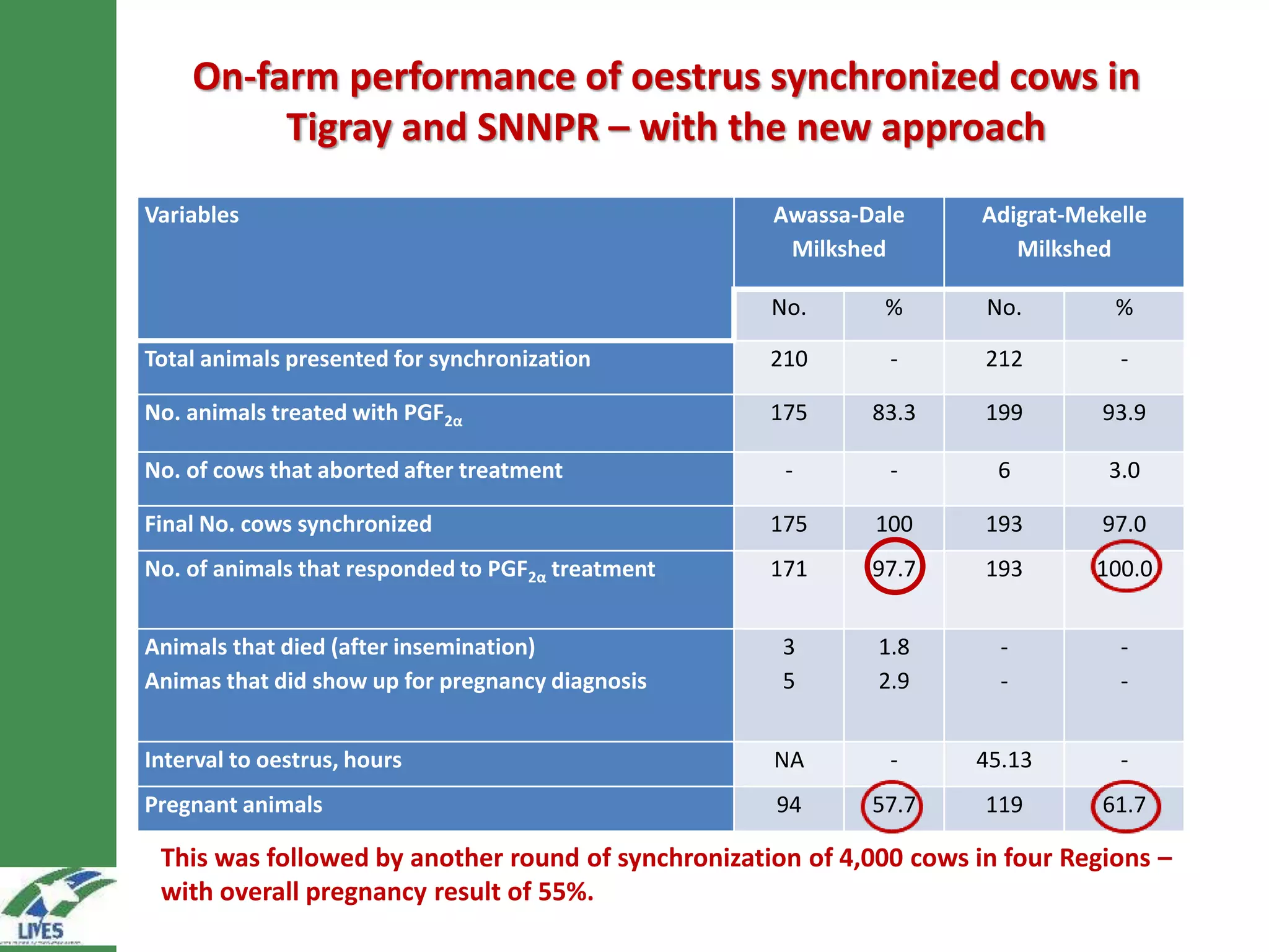 On-farm performance of oestrus synchronized cows in
Tigray and SNNPR – with the new approach
Variables Awassa-Dale
Milkshed
Adigrat-Mekelle
Milkshed
No. % No. %
Total animals presented for synchronization 210 - 212 -
No. animals treated with PGF2α 175 83.3 199 93.9
No. of cows that aborted after treatment - - 6 3.0
Final No. cows synchronized 175 100 193 97.0
No. of animals that responded to PGF2α treatment 171 97.7 193 100.0
Animals that died (after insemination)
Animas that did show up for pregnancy diagnosis
3
5
1.8
2.9
-
-
-
-
Interval to oestrus, hours NA - 45.13 -
Pregnant animals 94 57.7 119 61.7
This was followed by another round of synchronization of 4,000 cows in four Regions –
with overall pregnancy result of 55%.
 