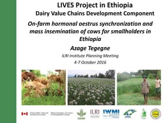 On-farm hormonal oestrus synchronization and
mass insemination of cows for smallholders in
Ethiopia
Azage Tegegne
ILRI Institute Planning Meeting
4-7 October 2016
LIVES Project in Ethiopia
Dairy Value Chains Development Component
 