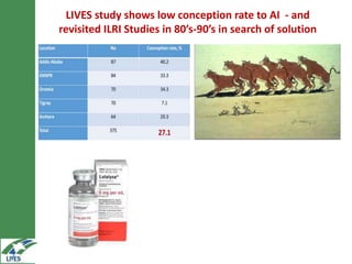 On-farm hormonal oestrus synchronization and mass insemination of cows for smallholders in Ethiopia