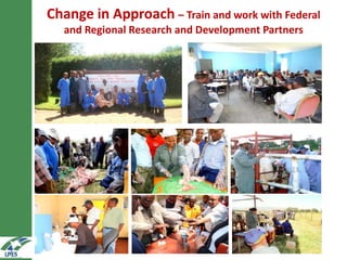 On-farm hormonal oestrus synchronization and mass insemination of cows for smallholders in Ethiopia