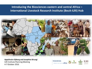 Introducing the Biosciences eastern and central Africa –
International Livestock Research Institute (BecA-ILRI) Hub
Appolinaire Djikeng and Josephine Birungi
ILRI Institute Planning Meeting
4-7 October 2016
 