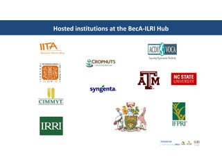 Introducing the Biosciences eastern and central Africa–International Livestock Research Institute (BecA-ILRI) Hub