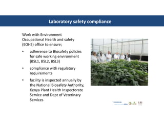 Introducing the Biosciences eastern and central Africa–International Livestock Research Institute (BecA-ILRI) Hub