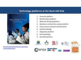 Introducing the Biosciences eastern and central Africa–International Livestock Research Institute (BecA-ILRI) Hub