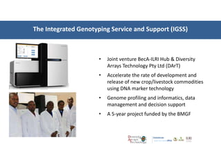 Introducing the Biosciences eastern and central Africa–International Livestock Research Institute (BecA-ILRI) Hub