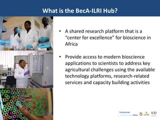 Introducing the Biosciences eastern and central Africa–International Livestock Research Institute (BecA-ILRI) Hub