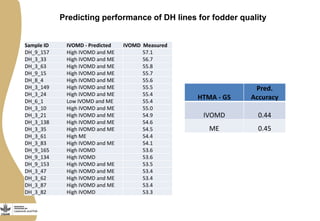 Discovery to delivery: Livestock and Fish – Maize CRP Collaboration on dual purpose maize hybrids  
