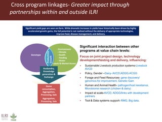 Cross program linkages- Greater impact through
partnerships within and outside ILRI
Significant interaction between other
programs at value chain levels:
Focus on joint project design, technology
development/testing and delivery, influencing:
 Sustainable Livestock production systems-Livestock
AVCD
 Policy, Gender –Dairy- AVCD,ADGG.ACGG
 Forage and Feed Resources- gene discovery/
genomics for improvement, Genetic Gain
 Human and Animal Health- pathogen/host resistance,
Microbiome research (chicken & dairy)
 Impact at scale-AVCD, ADGG/links with development
partners
 Tool & Data systems support- RMG, Big data.
Significant yield gaps are seen on-farm. While dramatic increases in yields have historically been driven by highly
accelerated genetic gains, the full potential is not realized without the delivery of appropriate technologies,
improve feed, disease management, and delivery.
- Environment
- Climate
- Health
- Feeding
- Water
-inputs & Market Access
Genotype
Home
consumption,
Aggregation,
Processing, Sale
Husbandry,
Knowledge
Exchange
Home
consumption,
Aggregation,
Processing, Sale
Husbandry,
Knowledge
generation &
Exchange
Productivity
Growth
 