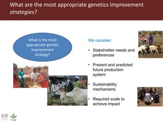 ILRI program outline: Livestock Genetics