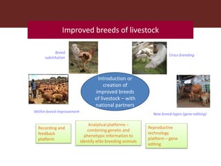 ILRI program outline: Livestock Genetics