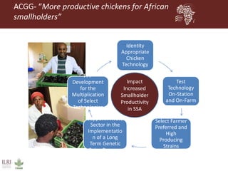 ILRI program outline: Livestock Genetics