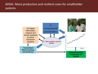 ILRI program outline: Livestock Genetics