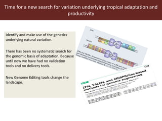 ILRI program outline: Livestock Genetics